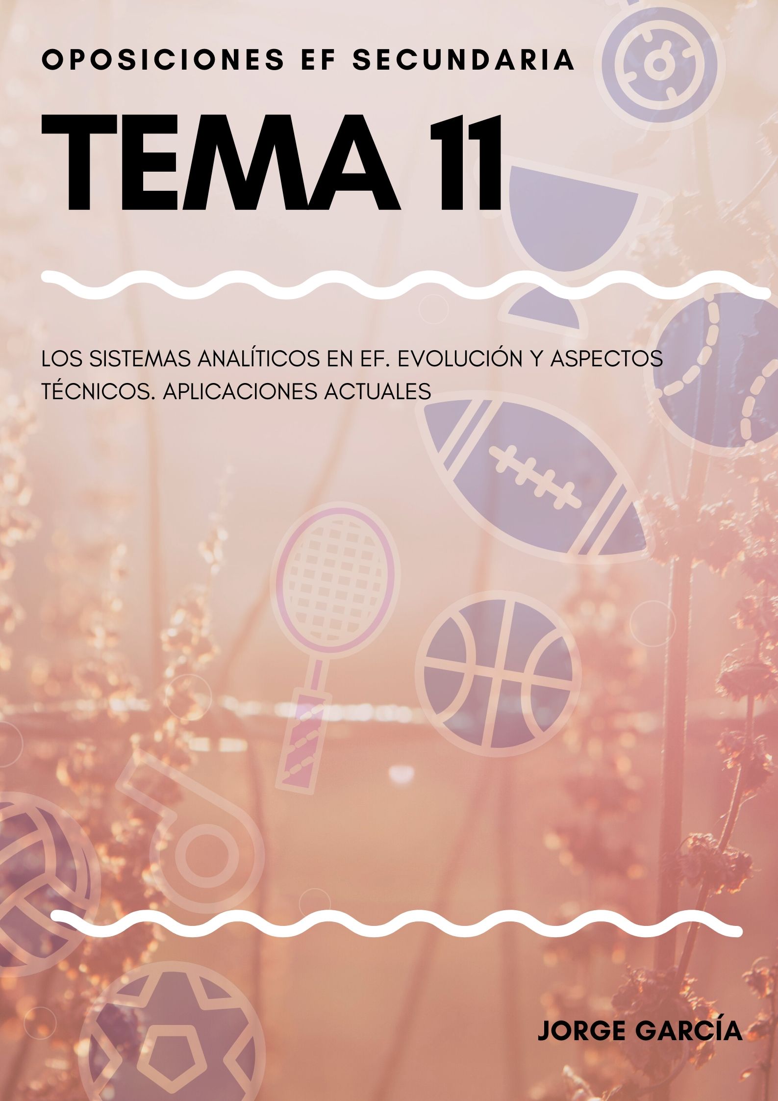 TEMA 11.jpg