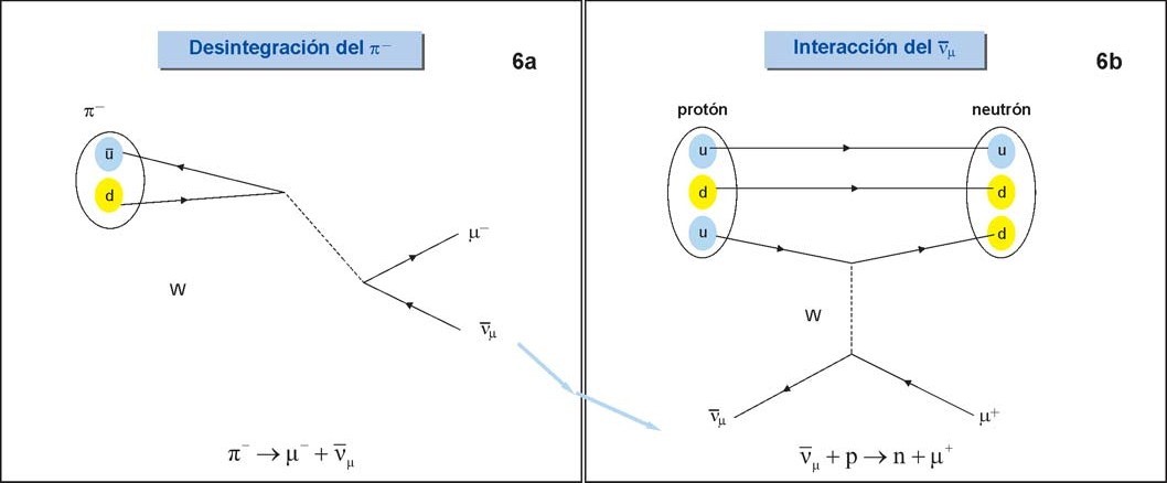 pion y antineutrino muónico.jpg