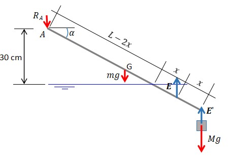 ext_2023_estática_01.jpg